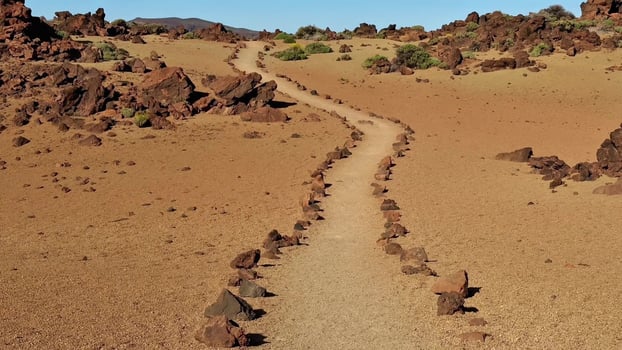 A desert trail winds through a rugged landscape, inviting exploration and adventure photo