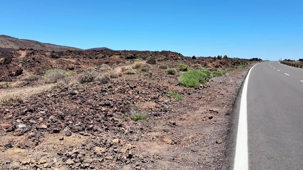 The Lush Greenery Thrives Beautifully Amidst the Volcanic Landscape on a Sunny Day photo