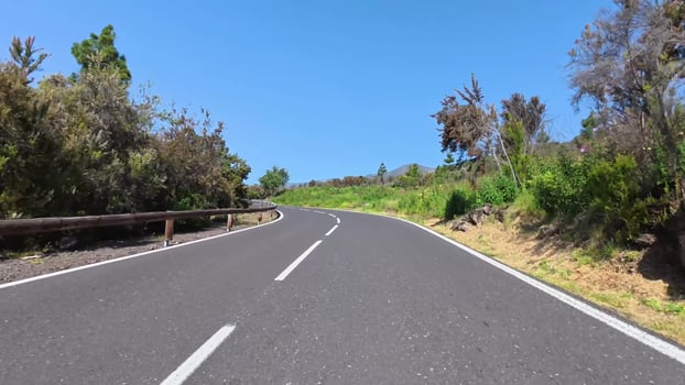 A Scenic Winding Road Enveloped by Lush Greenery Under a Beautiful Blue Sky Above photo