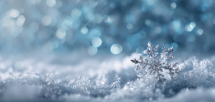 The delicate snowflake resting on a shimmering blanket of winter snow. photo