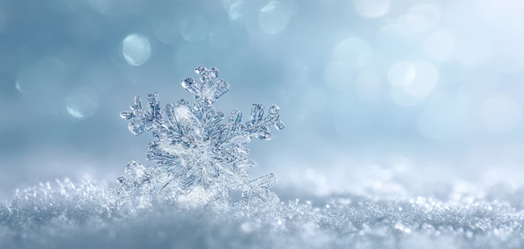 The Beautiful Snowflake Glimmering on a Soft Blanket of Snow photo