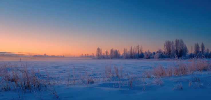 The serene winter landscape at sunset with snow-covered fields and trees. photo