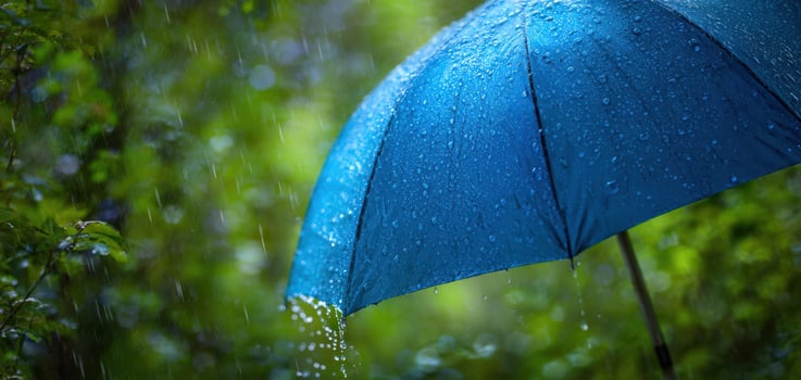 The vibrant blue umbrella shimmering in the refreshing rain amidst lush greenery. photo