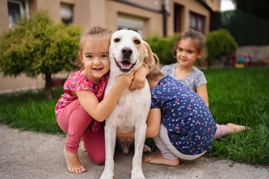 Joyful children sharing moments with their playful dog outdoors photo