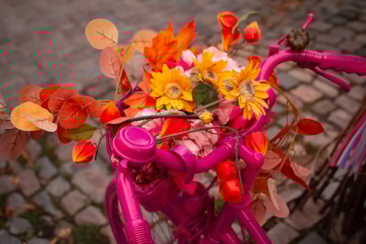 Rustic Pink Bike with Sunflowers photo