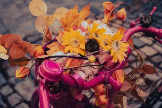 Rustic Pink Bike with Sunflowers and Fall Leaves photo