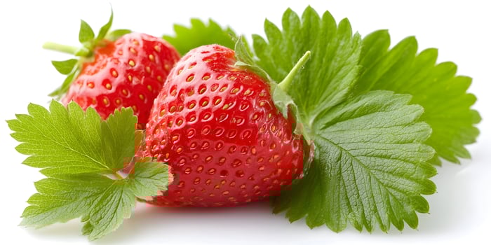 Two ripe red strawberries with green leaves on white background photo