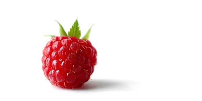 Single red raspberry with green leaves on white background photo