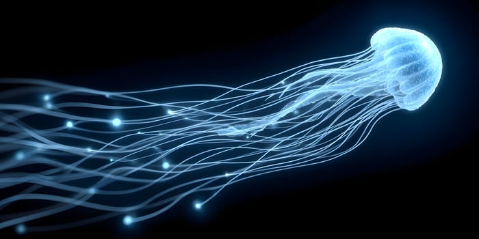 Glowing blue jellyfish swimming in dark water photo
