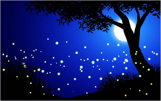 Fireflies and Tree Silhouette Scene vector