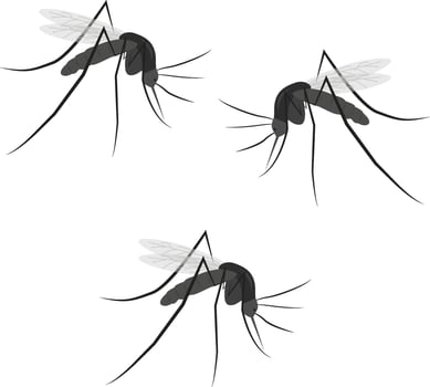 Three mosquitos, illustration, vector on a white background.