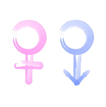 Female and male Symbol of men and women vector