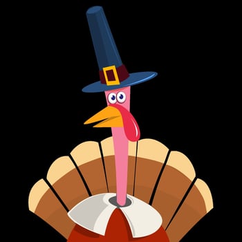 Cartoon turkey character with a hat vector
