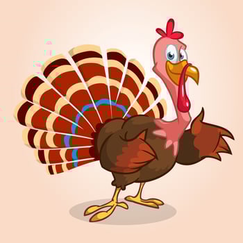 Colorful cartoon turkey illustration vector