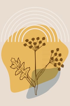 Angelica, abstract, poster, minimal vector
