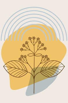 quina bark tree, abstract, poster, minimal vector
