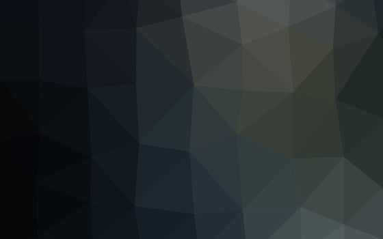 Dark Black vector low poly texture.