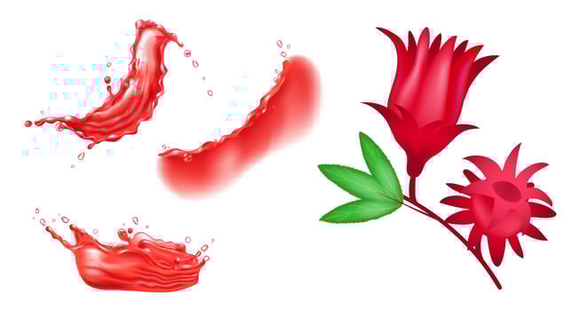 Set of red hibiscus flower and red liquid splashes. Realistic design elements. vector