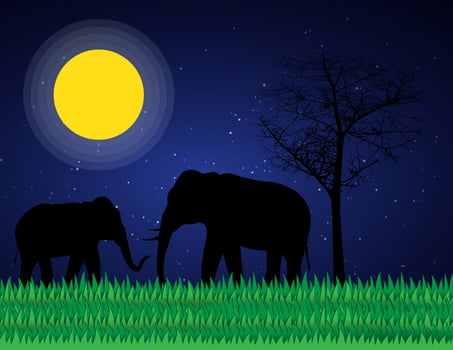 Elephant Silhouettes at Night vector