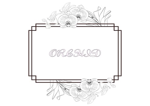 orchid flowers frame vector