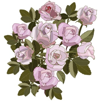 Bouquet of roses vector