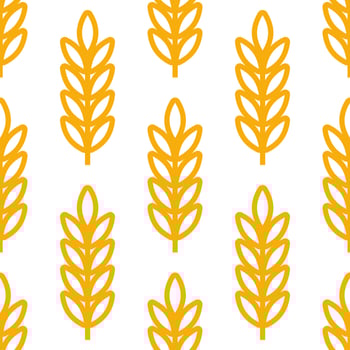 Wheat ears icon vector farm seamless pattern background. Line whole grain symbol illustration for organic eco bakery business, agriculture, beer on white