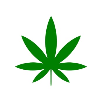 Vector cannabis leaf or hemp or marijuana, herbal plant for medical treatment icon