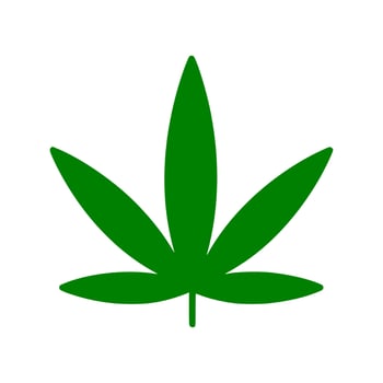 Vector cannabis leaf or hemp or marijuana, herbal plant for medical treatment icon