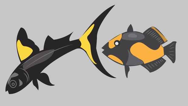 Black and yellow angel fish cartoon vector