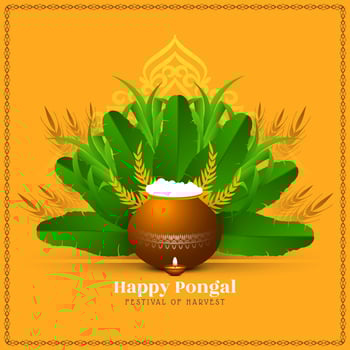 Happy pongal cultural harvest festival celebration card design vector