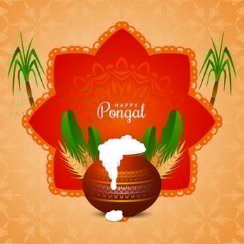 Traditional Indian Happy pongal festival greeting background design vector