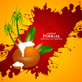 Happy pongal cultural harvest festival celebration card design vector