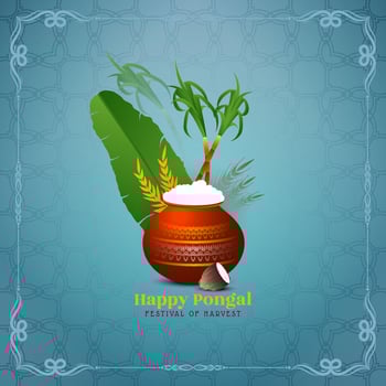 Happy pongal cultural harvest festival celebration card design vector