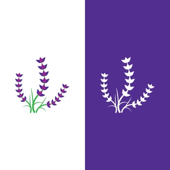 Fresh Lavender flower logo vector