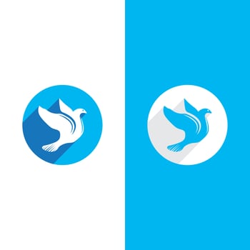 Dove bird logo vector design