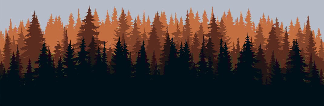 Vector mountains forest background texture, silhouette of coniferous forest, vector. Autumn season orange, yellow trees, spruce, fir. Horizontal landscape.
