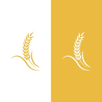 Wheat logo vector icon illustration