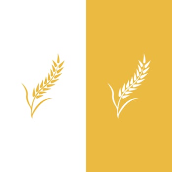 Wheat logo vector icon illustration