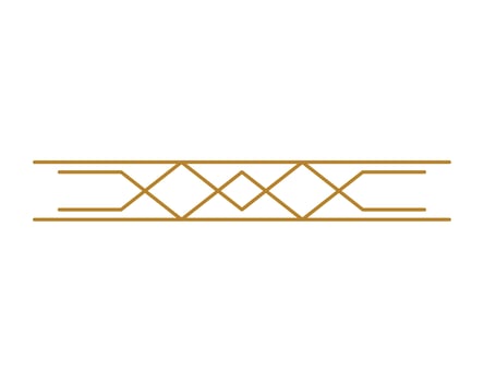 pretty art deco design vector