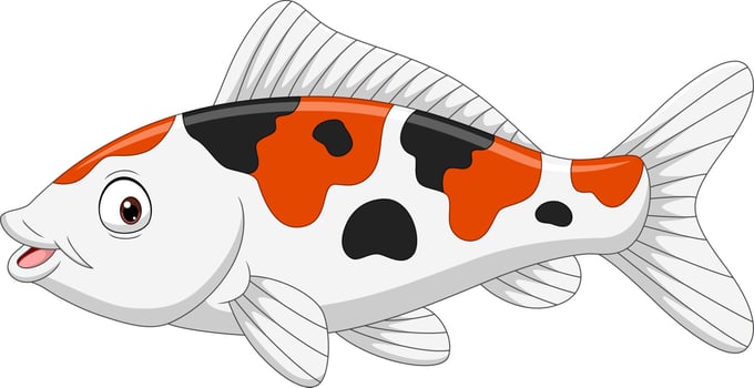 Cartoon funny koi fish on white background vector