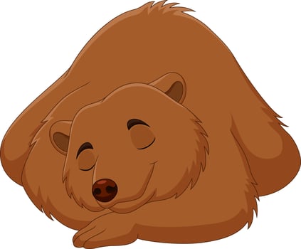 Cartoon funny brown bear sleeping vector