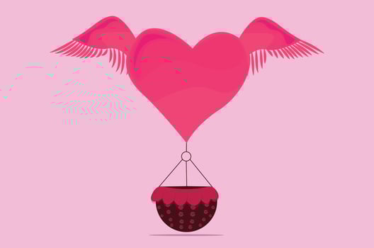 hot air ballon vector