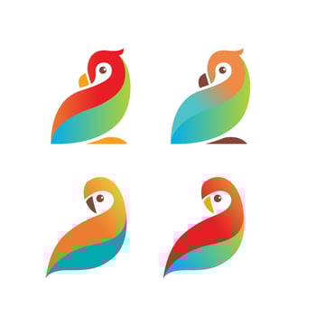 Parrot love bird logo set design vector
