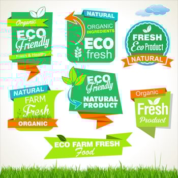 Collection of healthy organic food labels tags and emblems vector