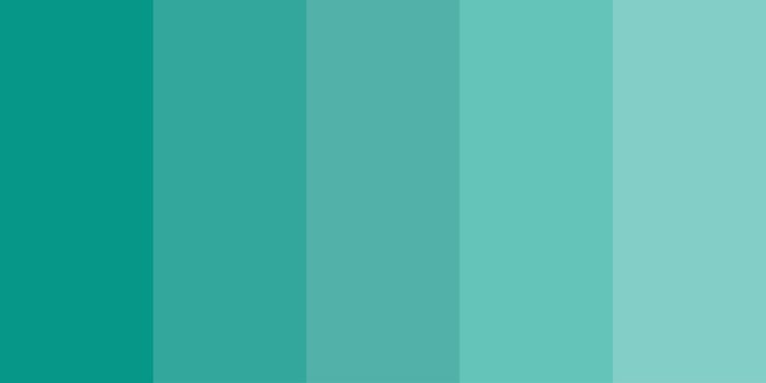 color schemes combinations palettes. Vector color palette