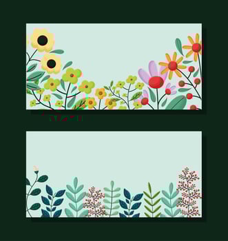 flowers frames design vector