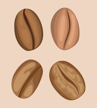 four coffee beans vector