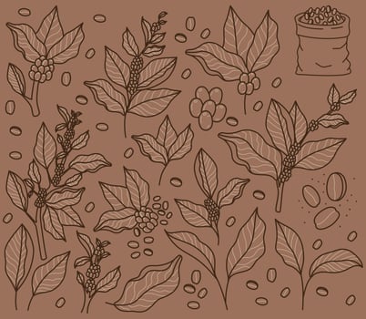 coffee beans card vector