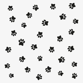 Vector pattern of cat dog footprints. Paw print vector
