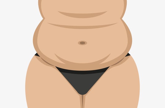 Fat female belly vector illustration. Chubby woman tummy. Plus size lady isolated on white background